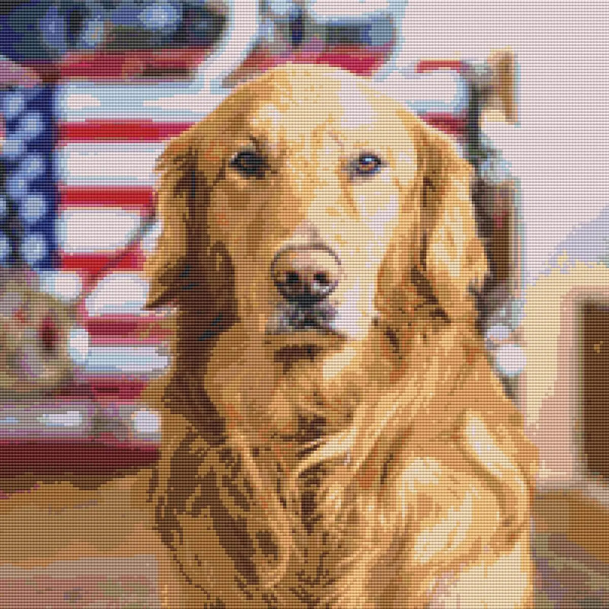 Diamond Painting Dog General, Full Image - Painting